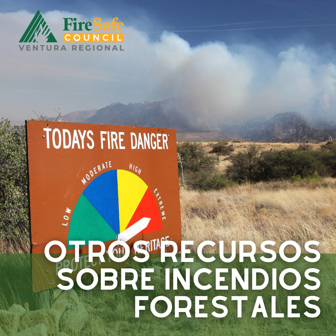 Other Wildfire resources