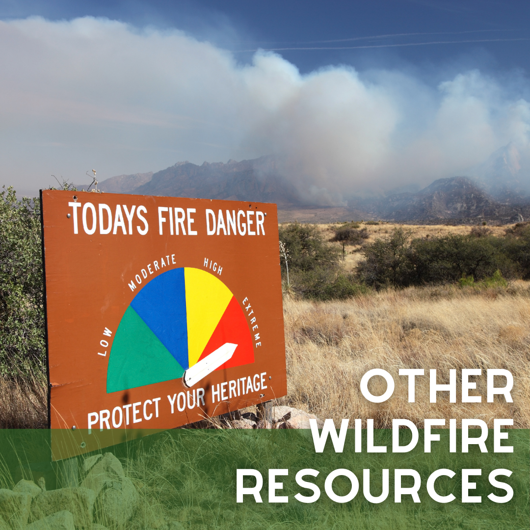 Other Wildfire resources