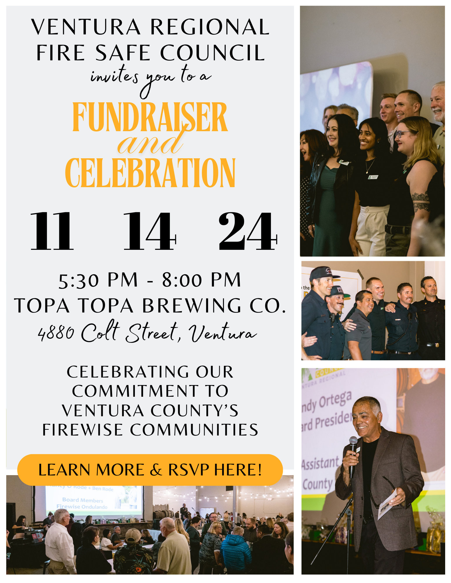 Flyer for VRFSC's End of Year Fundraiser and Celebration