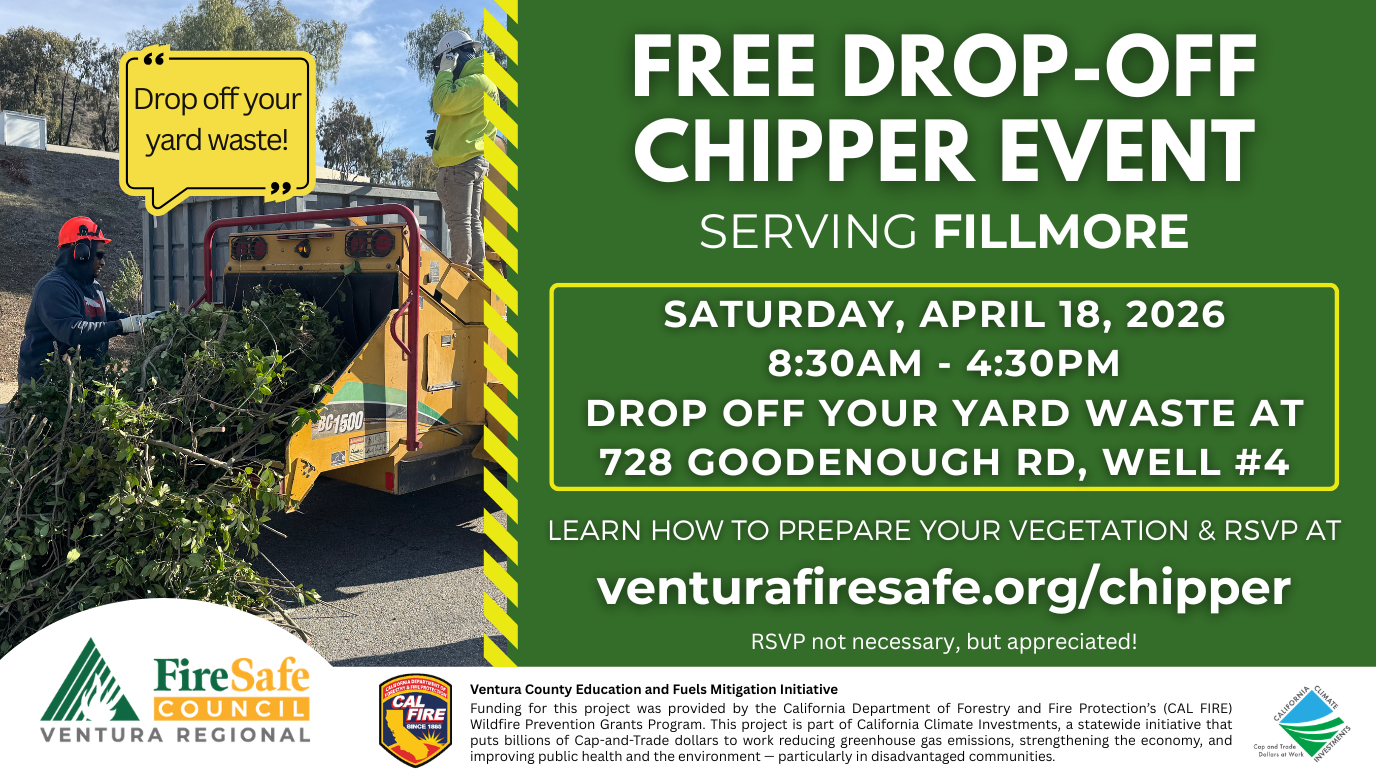 CHIPPER FILLMORE (2)